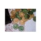 Πούλια ελιάς σέτ  (Χρώμα: πράσινο - εκρού)